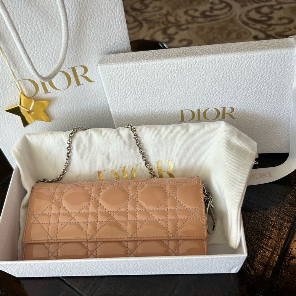 Christian Dior Wallet on Chain